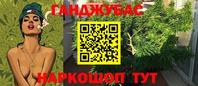 дмт Тара
