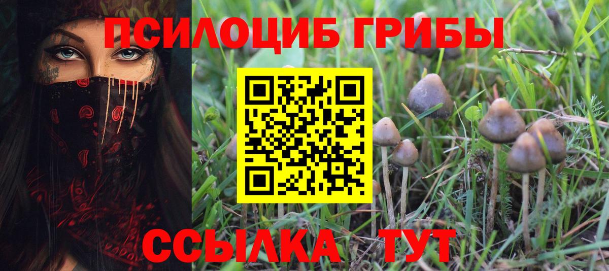 Псилоцибиновые грибы GOLDEN TEACHER  Вход с VPN  Псилоцибиновые грибы Psilocybine cubensis  Чебаркуль 