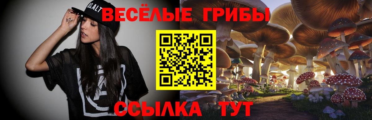 Галлюциногенные грибы Psilocybe Чебаркуль